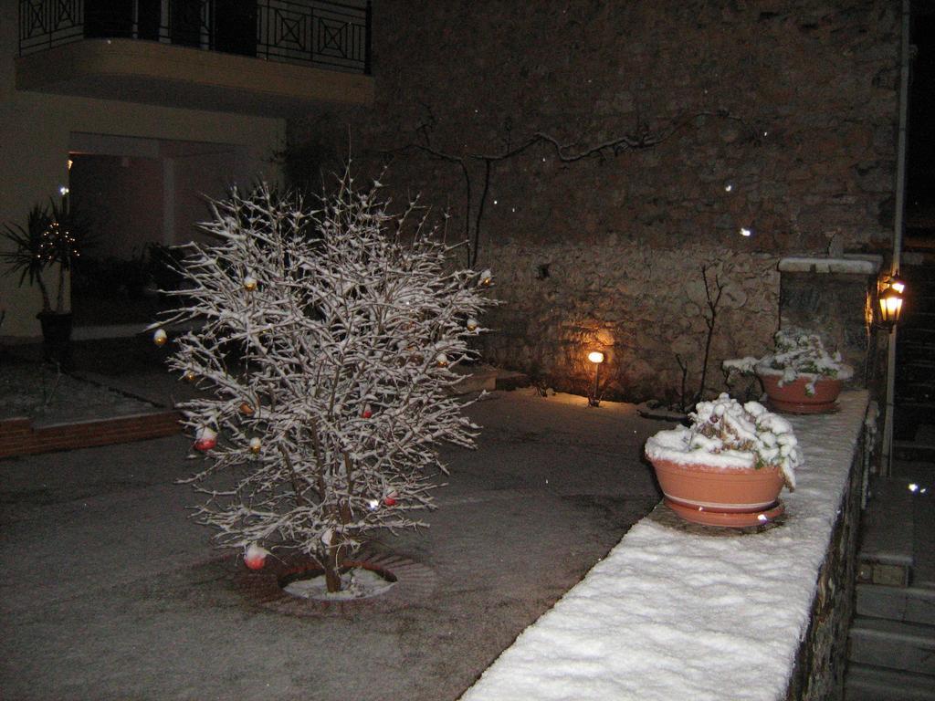 Filoxenia Apartment Levidhion Exterior photo